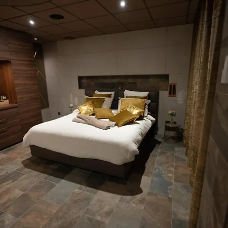 Caracalla Prive - D'hotes Avec Piscine, Jaccuzi Et Hammam Privatifs Saint-Etienne (Loire)
