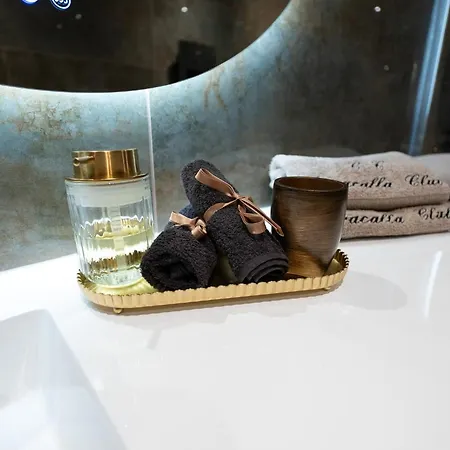 Caracalla Prive - D'hotes Avec Piscine, Jaccuzi Et Hammam Privatifs 4* Saint-Etienne (Loire)