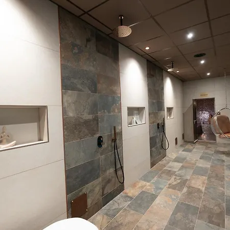 Caracalla Prive - D'hotes Avec Piscine, Jaccuzi Et Hammam Privatifs 4* Saint-Etienne (Loire)